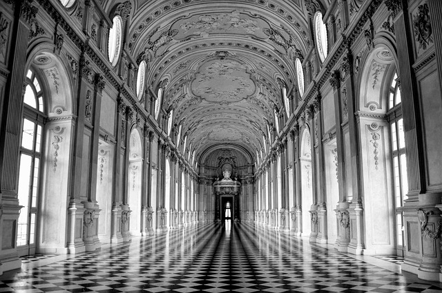 venaria, the royal palace of venaria, real venaria, torino, piemonte, italy, architecture, history, building, buildings, residence, savoy residence, savoy, floors, black and white, window, windows, infinity, plins, shiny, ceiling, venaria, venaria, venaria, torino, torino, torino, piemonte, piemonte, italy, history, residence, infinity, infinity, infinity, infinity, infinity, ceiling